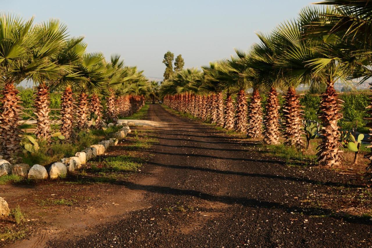 סירקוזה Agriturismo Papyrus מראה חיצוני תמונה