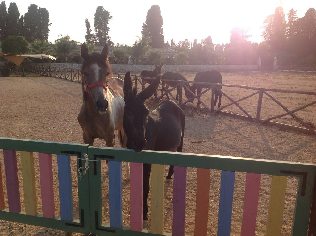 סירקוזה Agriturismo Papyrus מראה חיצוני תמונה