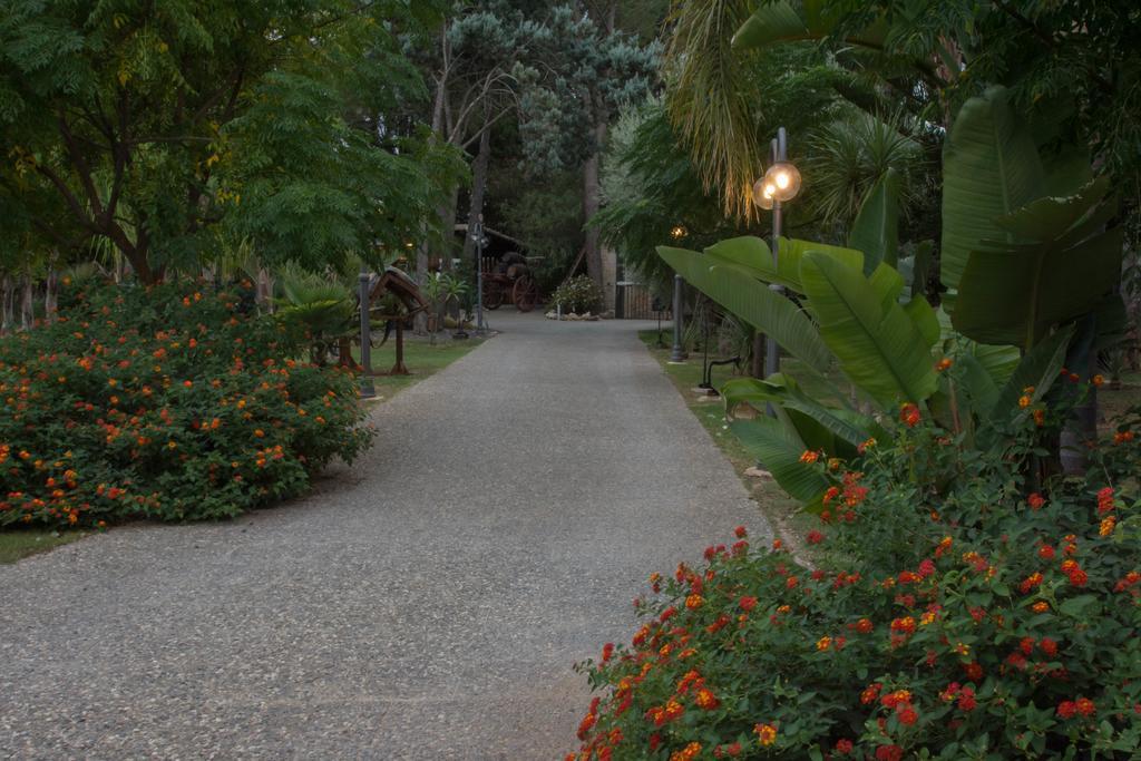 סירקוזה Agriturismo Papyrus מראה חיצוני תמונה